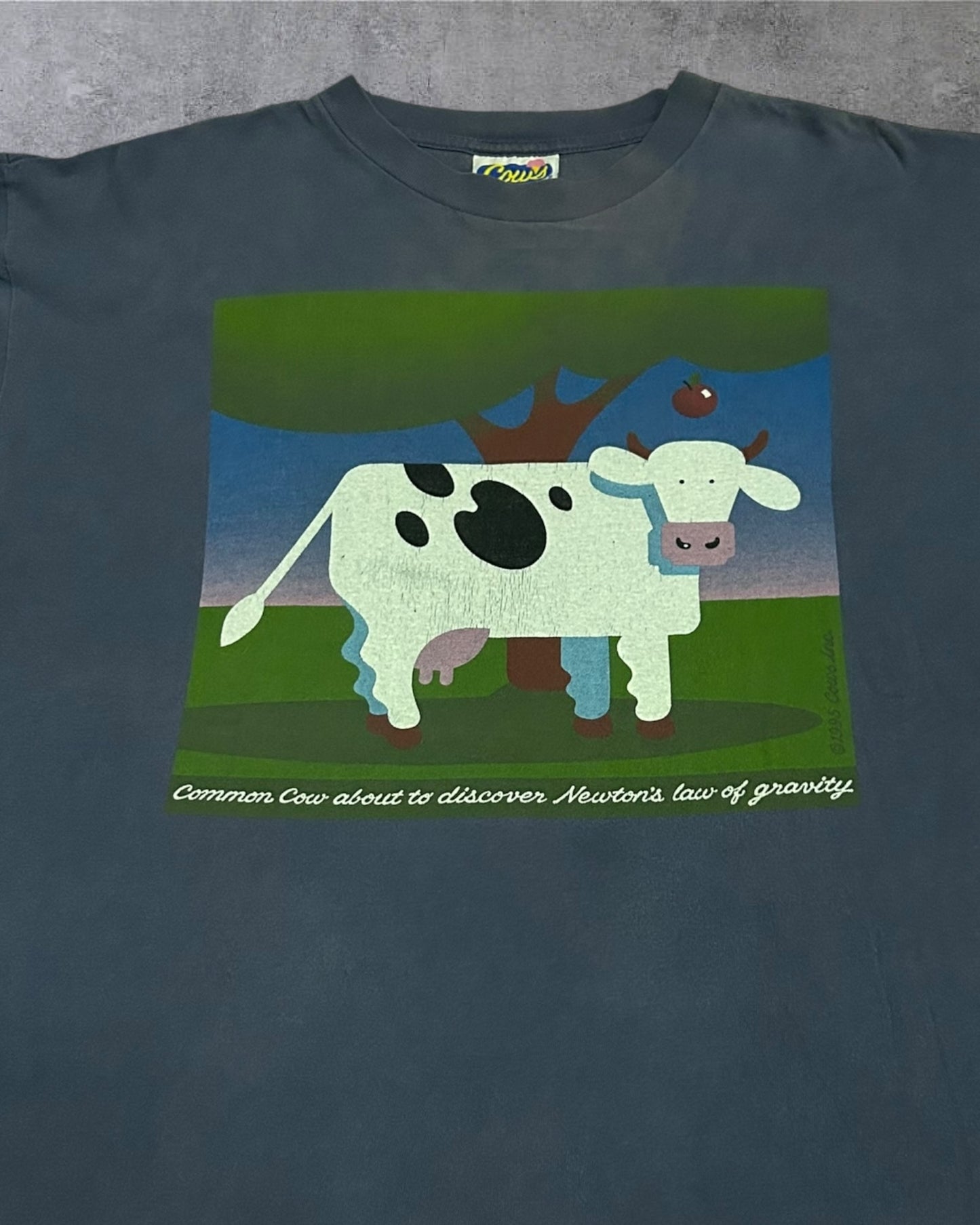 Vintage 90’s Cows Ice Cream XL