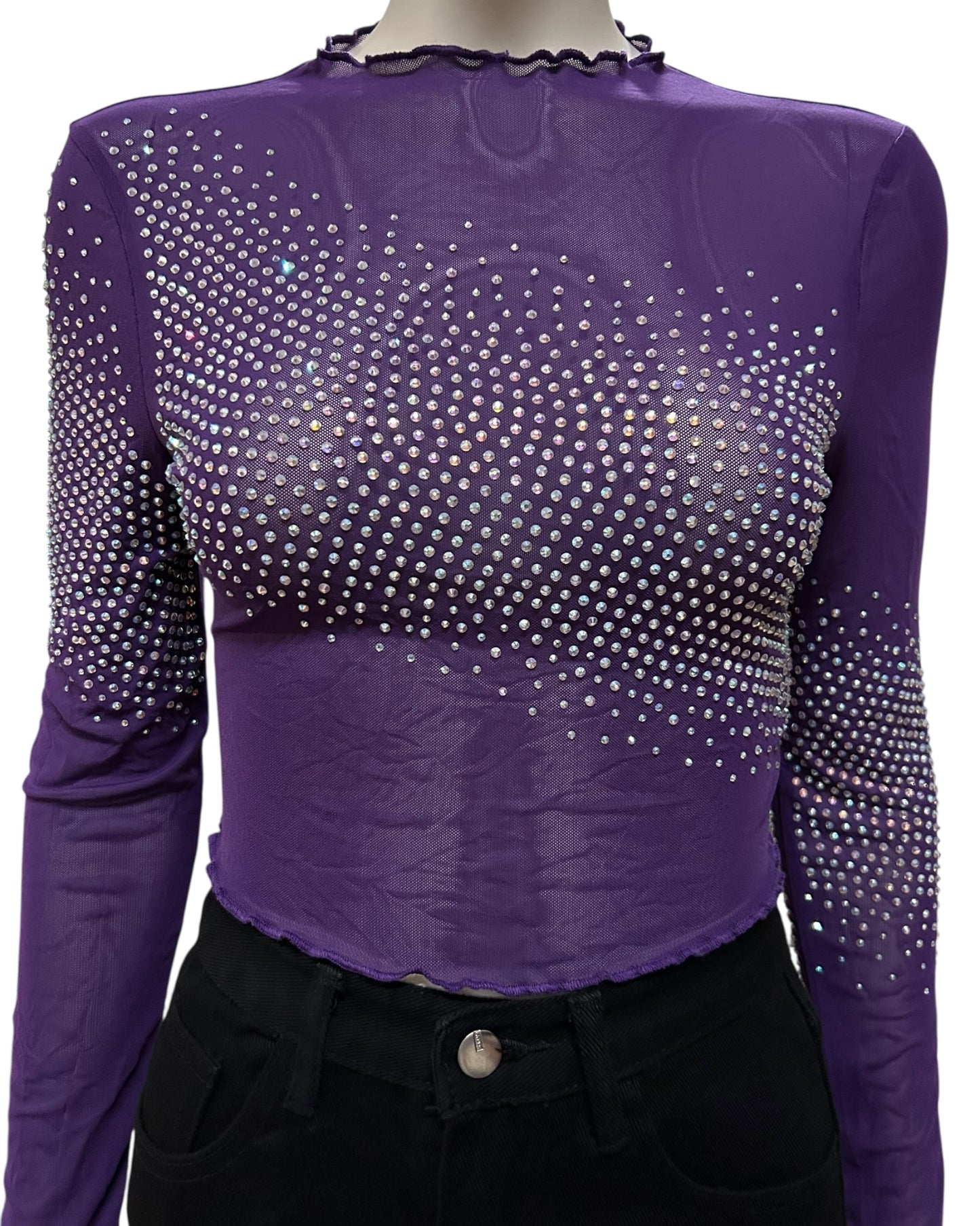 Rubby Fitted Mesh Long Sleeve Top Medium