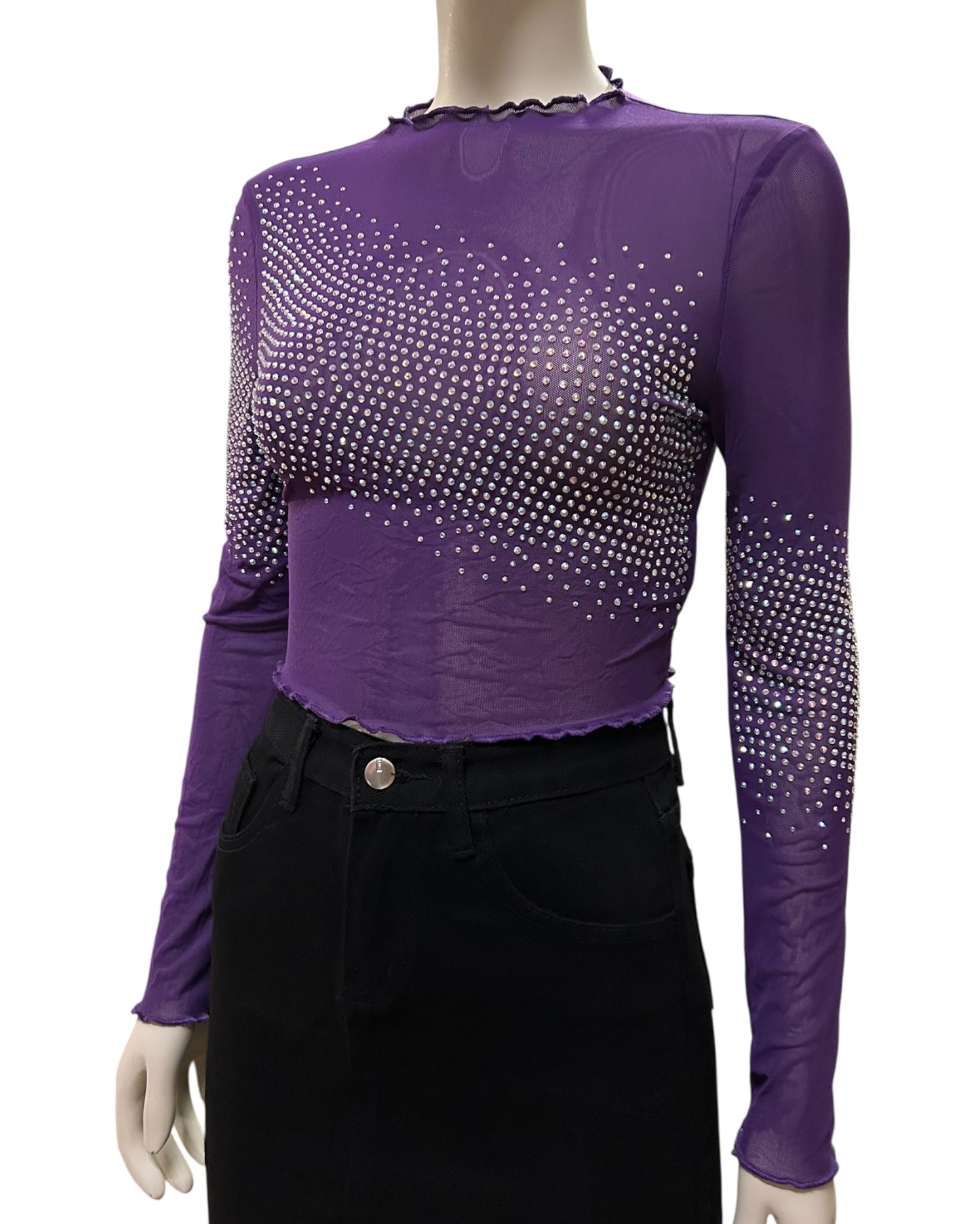 Rubby Fitted Mesh Long Sleeve Top Medium